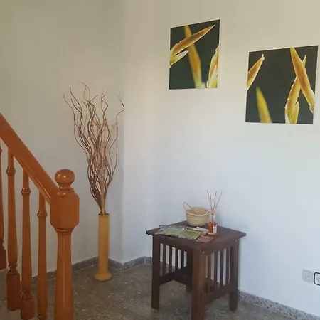Casa Ludi 펜션